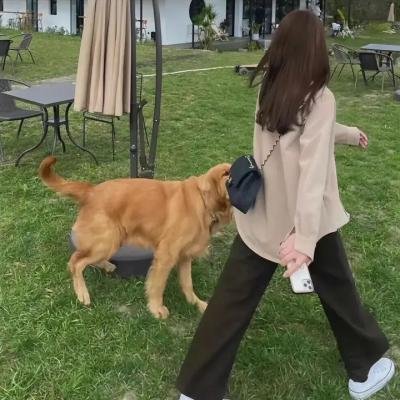 生而为蓝海报